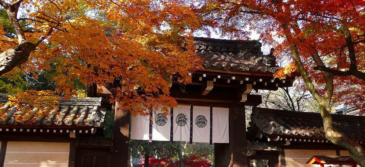 紫野 今宮神社